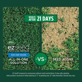 Seedling germination shown under sun and shade demonstrating versatile lawn growth.