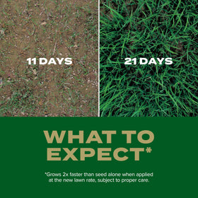 Scotts Overseeding coverage area of 5,280 sq ft helps repair large patches