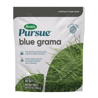 Scotts Pursue Blue Grama seed bag ready for planting in sunny yards to establish drought-tolerant turf.