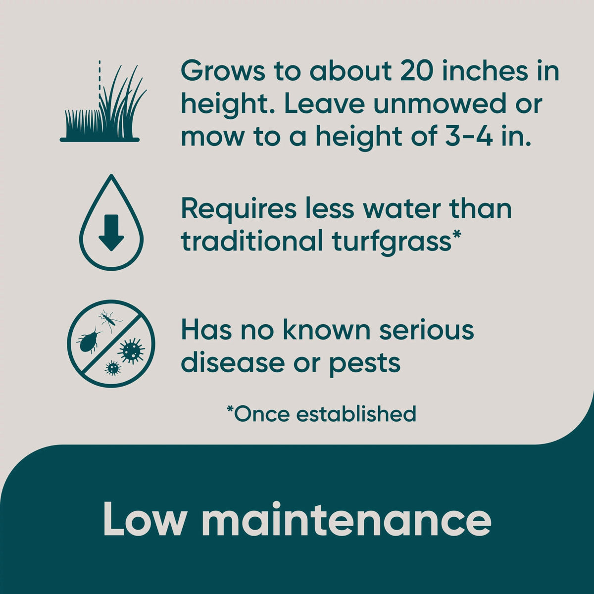 Scotts Pursue Blue Grama summer fertilizer highlights annual feeding for healthy growth.