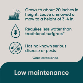 Scotts Pursue Blue Grama summer fertilizer highlights annual feeding for healthy growth.