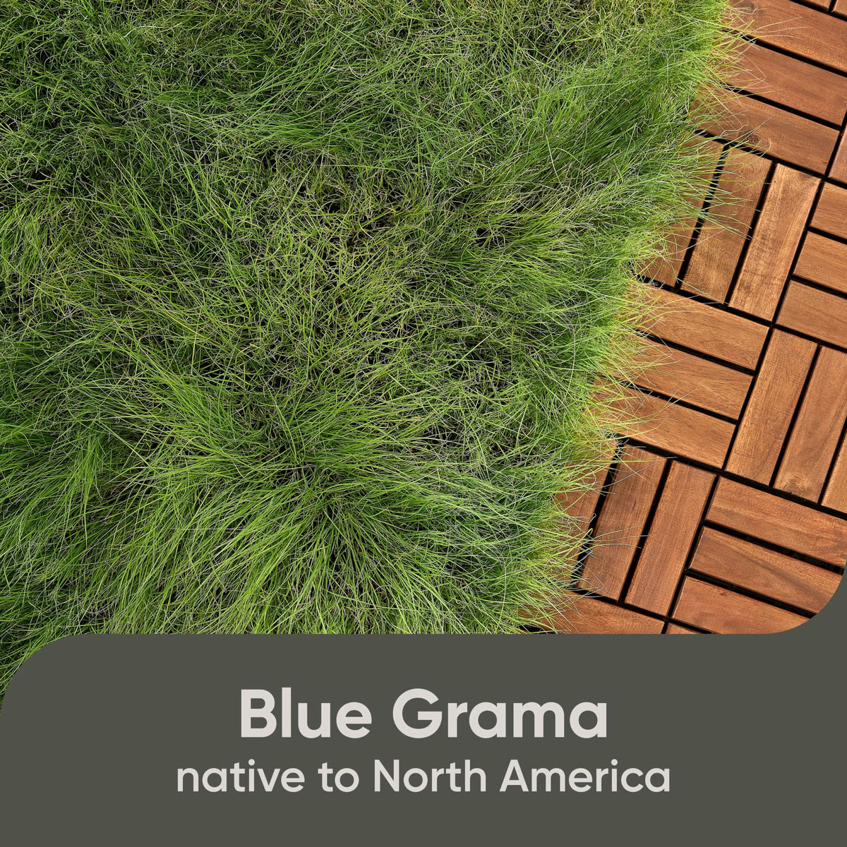 Scotts Pursue Blue Grama topsoil mix in a bucket improves germination and establishment.