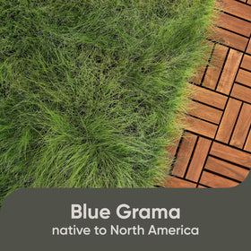 Scotts Pursue Blue Grama topsoil mix in a bucket improves germination and establishment.