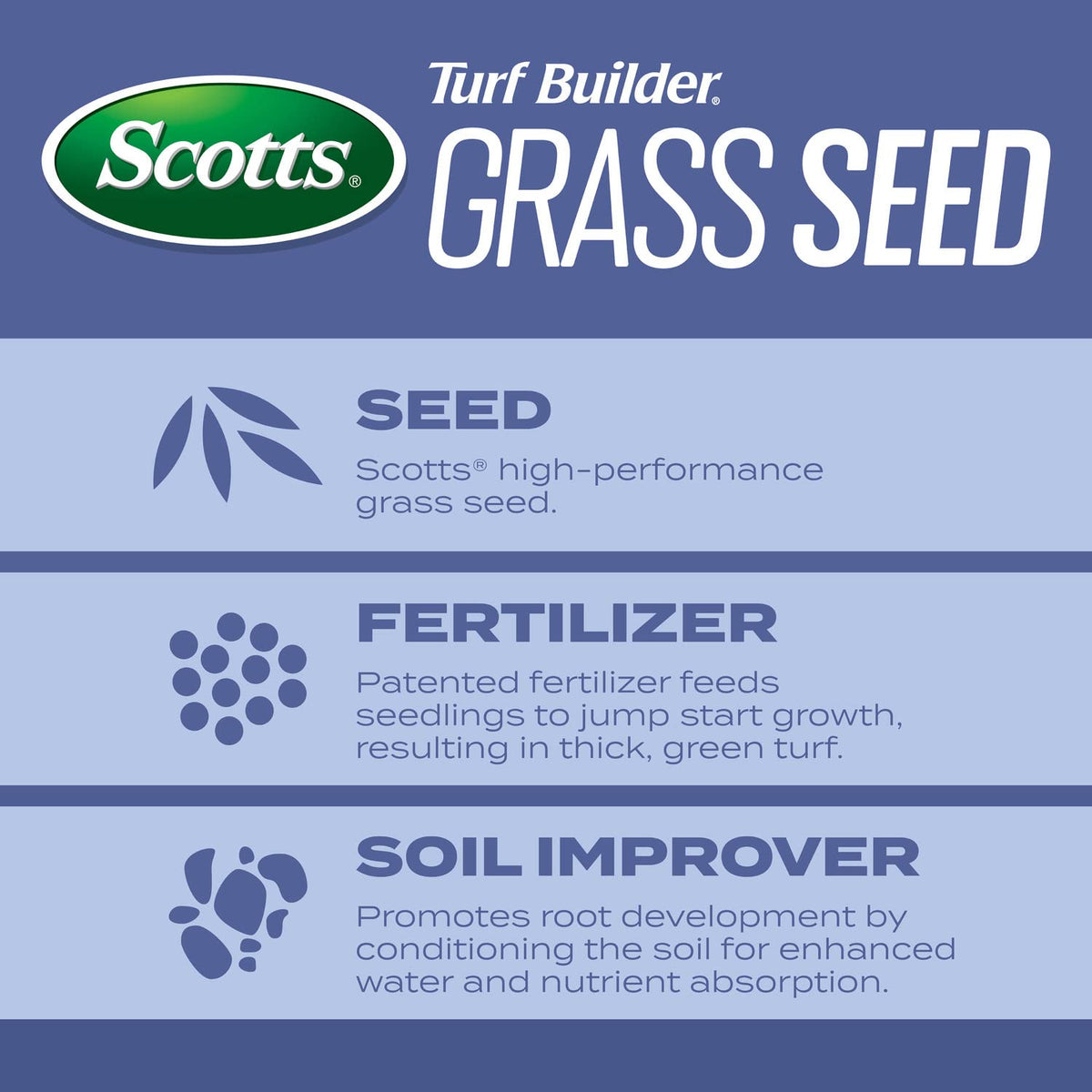 Seed blend close-up showing Kentucky bluegrass and tall fescue components for resilience.