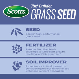 Seed blend close-up showing Kentucky bluegrass and tall fescue components for resilience.
