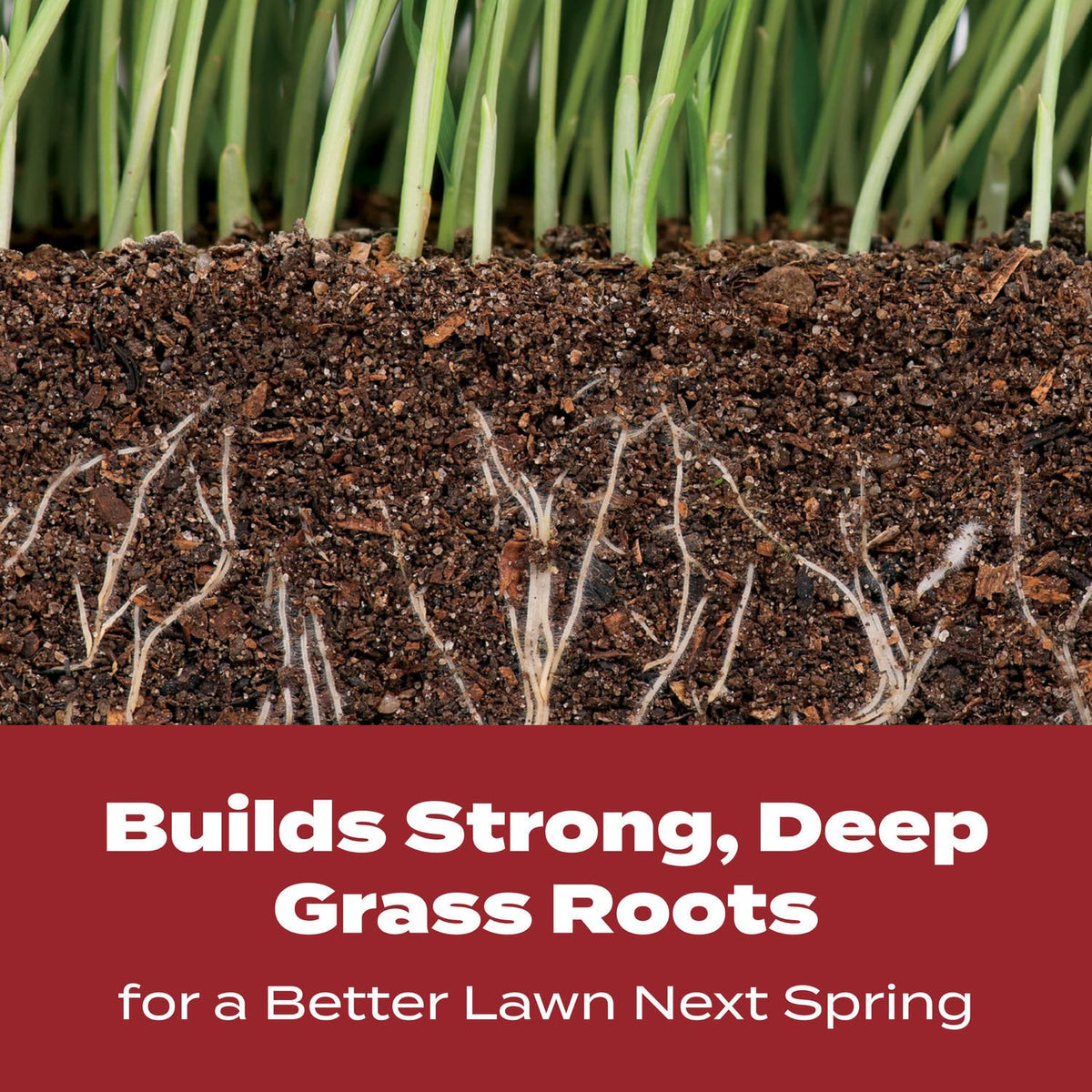 Lawn spreader settings 2-3-4 shown for precise Scotts application