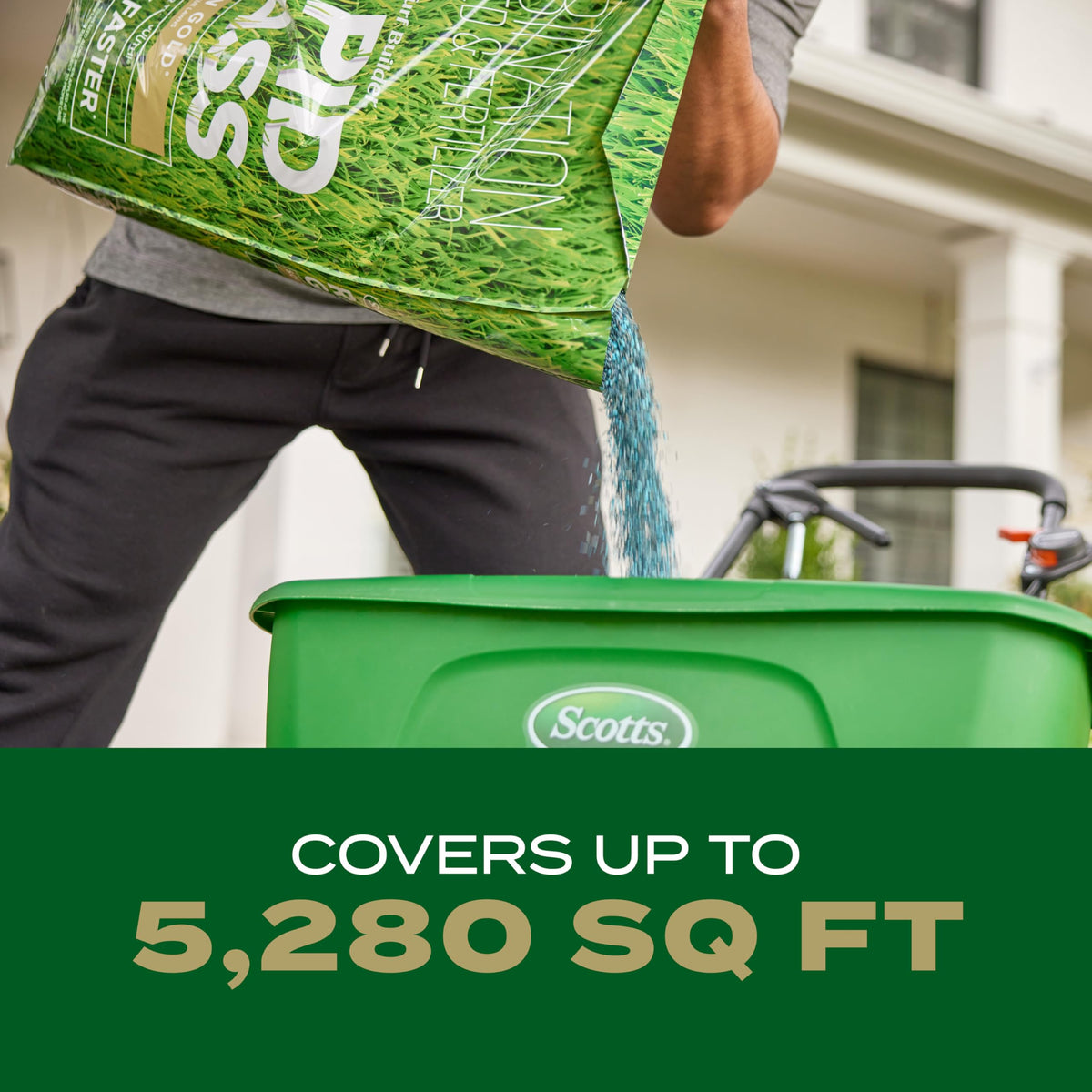 Scotts rapid grass blend shines in spring or fall planting