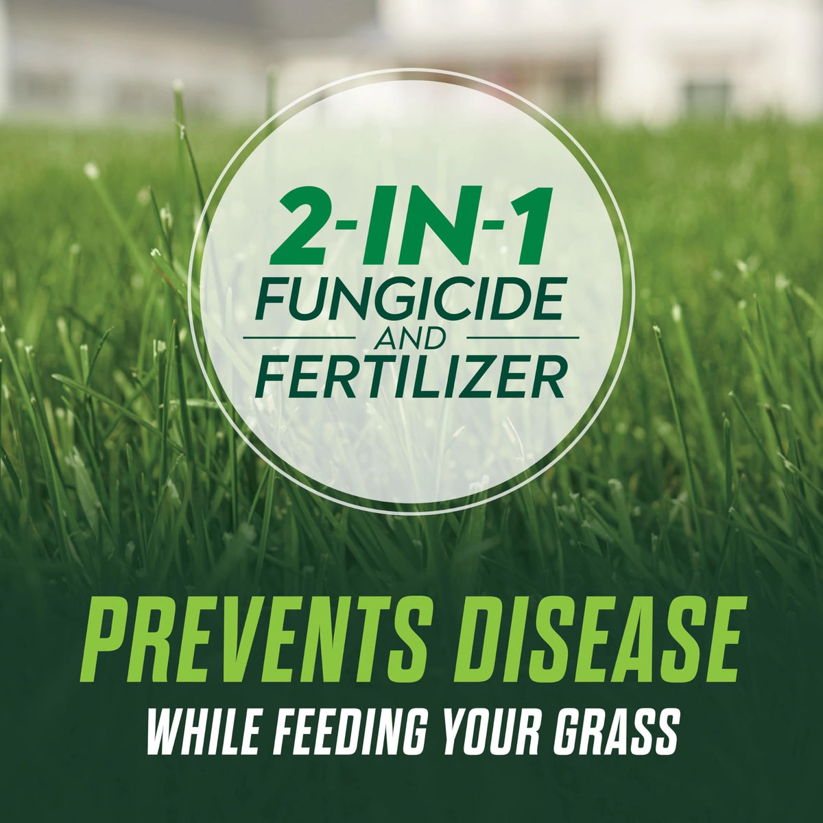 Close up of the 2-in-1 fungicide and fertilizer label on Scotts Healthy Plus for disease prevention.