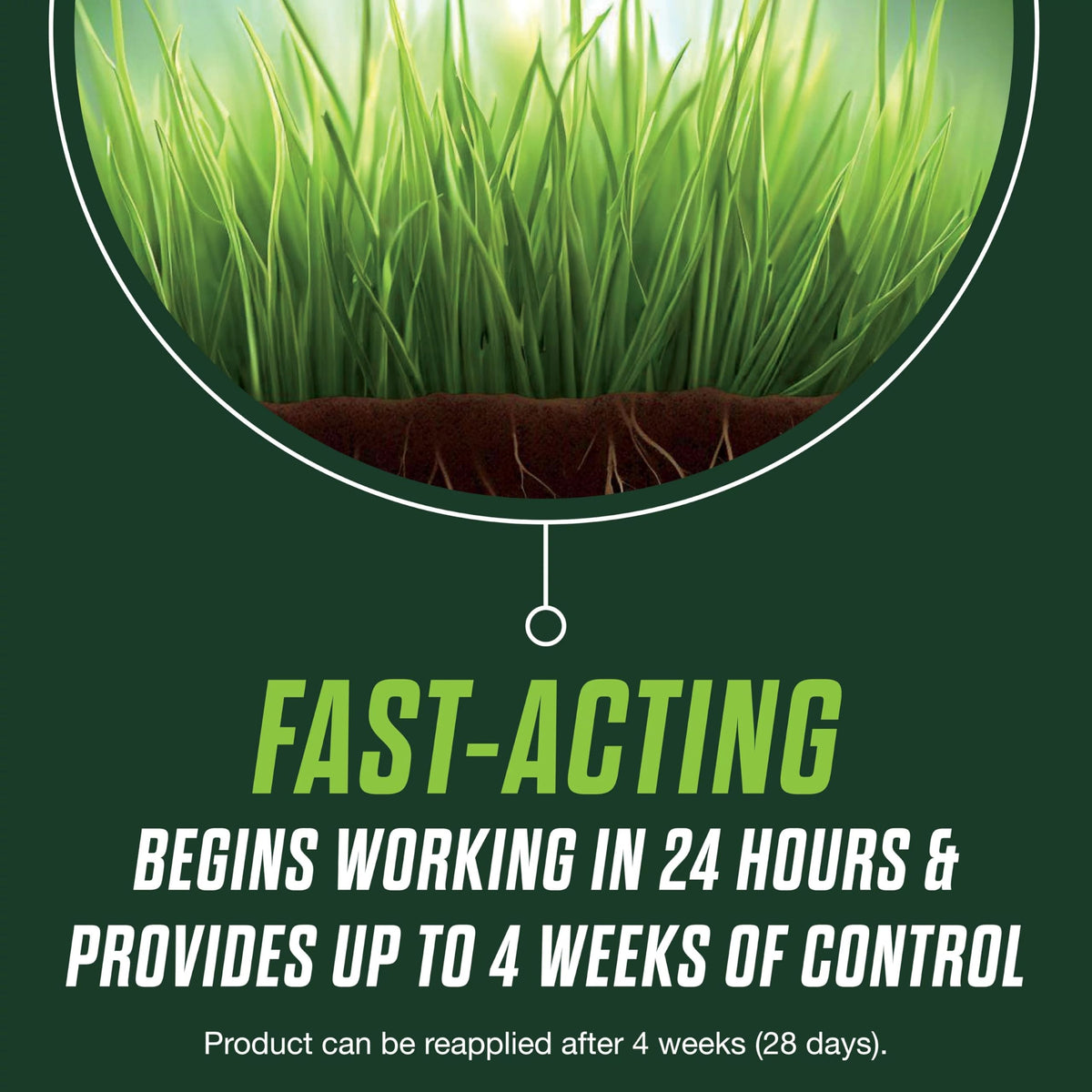 Lush lawn with reduced disease risk after Scotts Healthy Plus treatment.