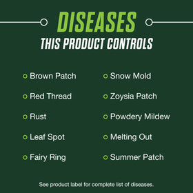 Grass blades strengthened by Scotts Healthy Plus for heat and drought resilience.