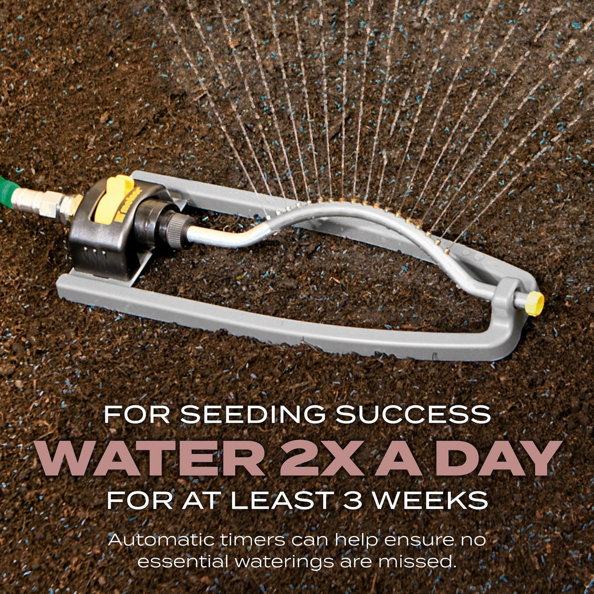 Coated seeds stay moist to boost germination