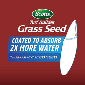 Medium drought tolerance helps lawn stay green longer