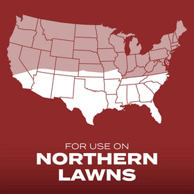 Northern lawns benefit from sun and light shade compatibility