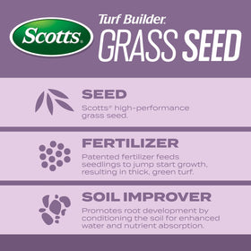 Scotts lawn seed spreading across a sunny area illustrates compatibility with full sun.