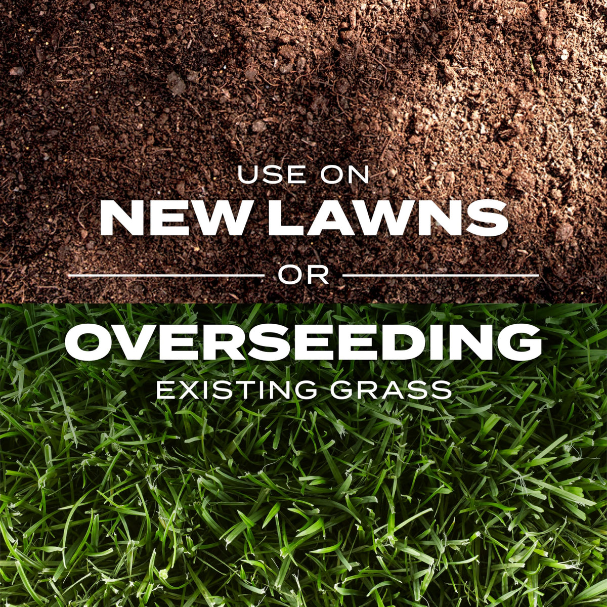 Scotts 1,760 sq ft new lawn coverage from one bag