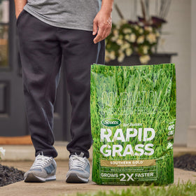 Scotts Turf Builder Rapid Grass Southern Gold Blend seed with fertilizer mix promotes quicker germination and growth