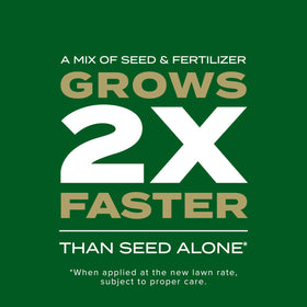 Scotts tall fescue seed in Southern Gold Blend for established, healthier lawns