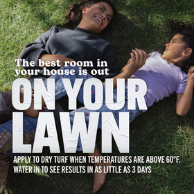 Scotts Turf Builder Southern Lawn Food max greening rate for deeper color