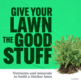 Scotts Turf Builder Southern Lawn Food with potassium aids heat resilience