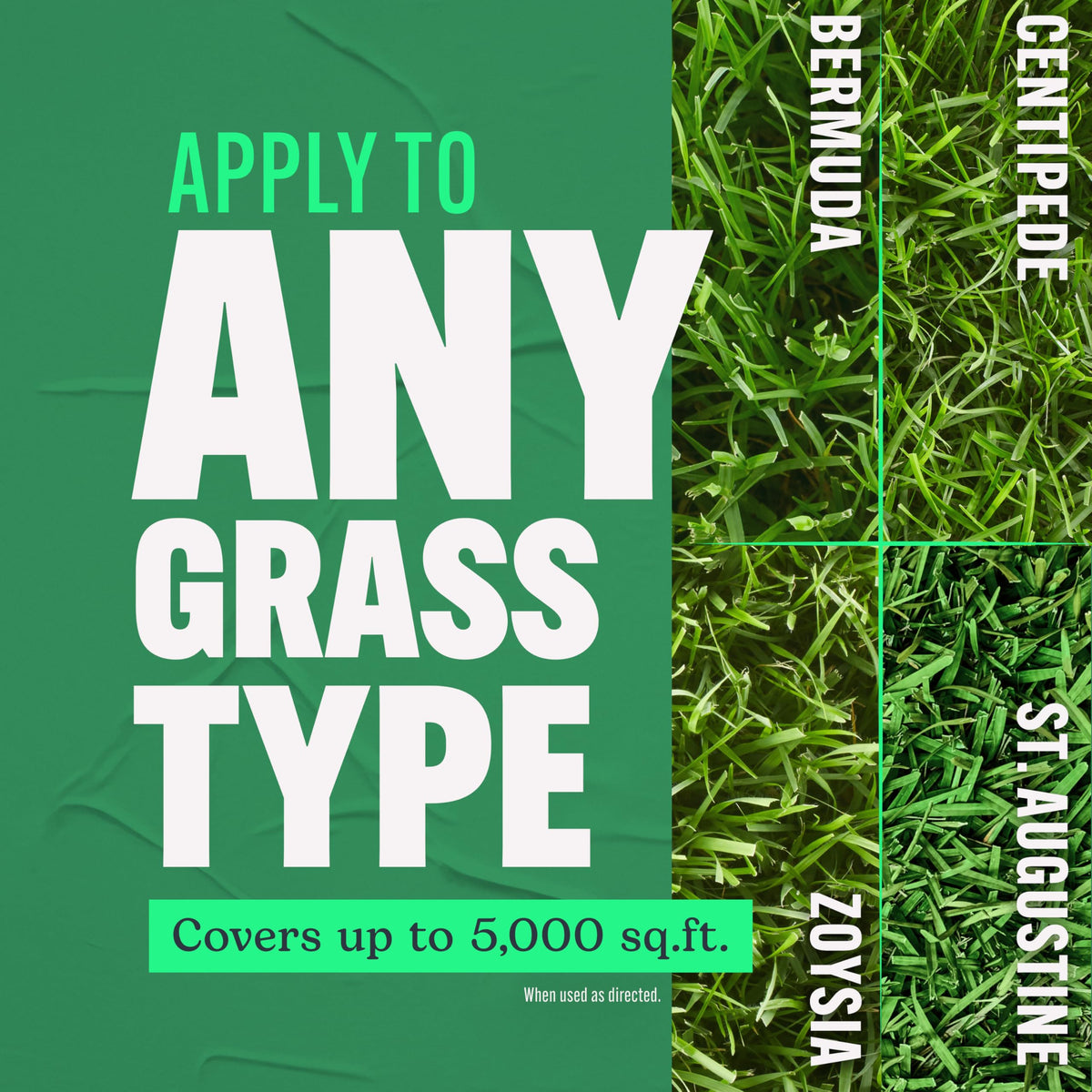 Scotts Turf Builder Southern Lawn Food spread evenly with a Scotts spreader