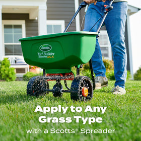 Scotts Turf Builder Starter Food for New Grass supports seedling growth and rapid establishment.