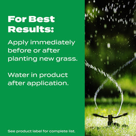 Scotts Turf Builder Starter Food requires consistent watering during early root development.