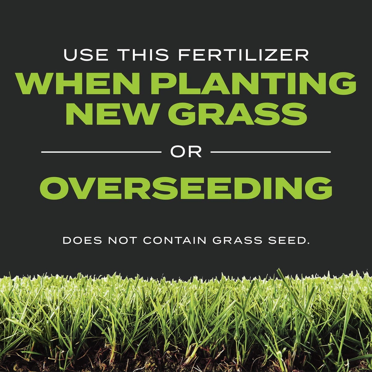 Scotts Turf Builder Triple Action heat and drought resilience helps young grass endure stress.