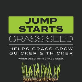 Scotts Turf Builder Triple Action weed prevention image shows dandelions and crabgrass being kept at bay.