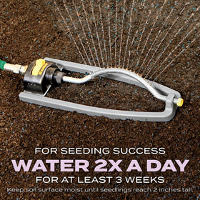 Scotts watering plan illustration shows daily moisture timing until seedlings reach 2 inches.