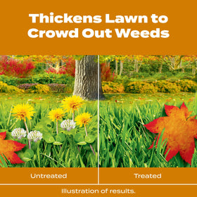 Scotts Turf Builder WinterGuard Fall Weed & Feed3 spreader application on lawn ensures even coverage.