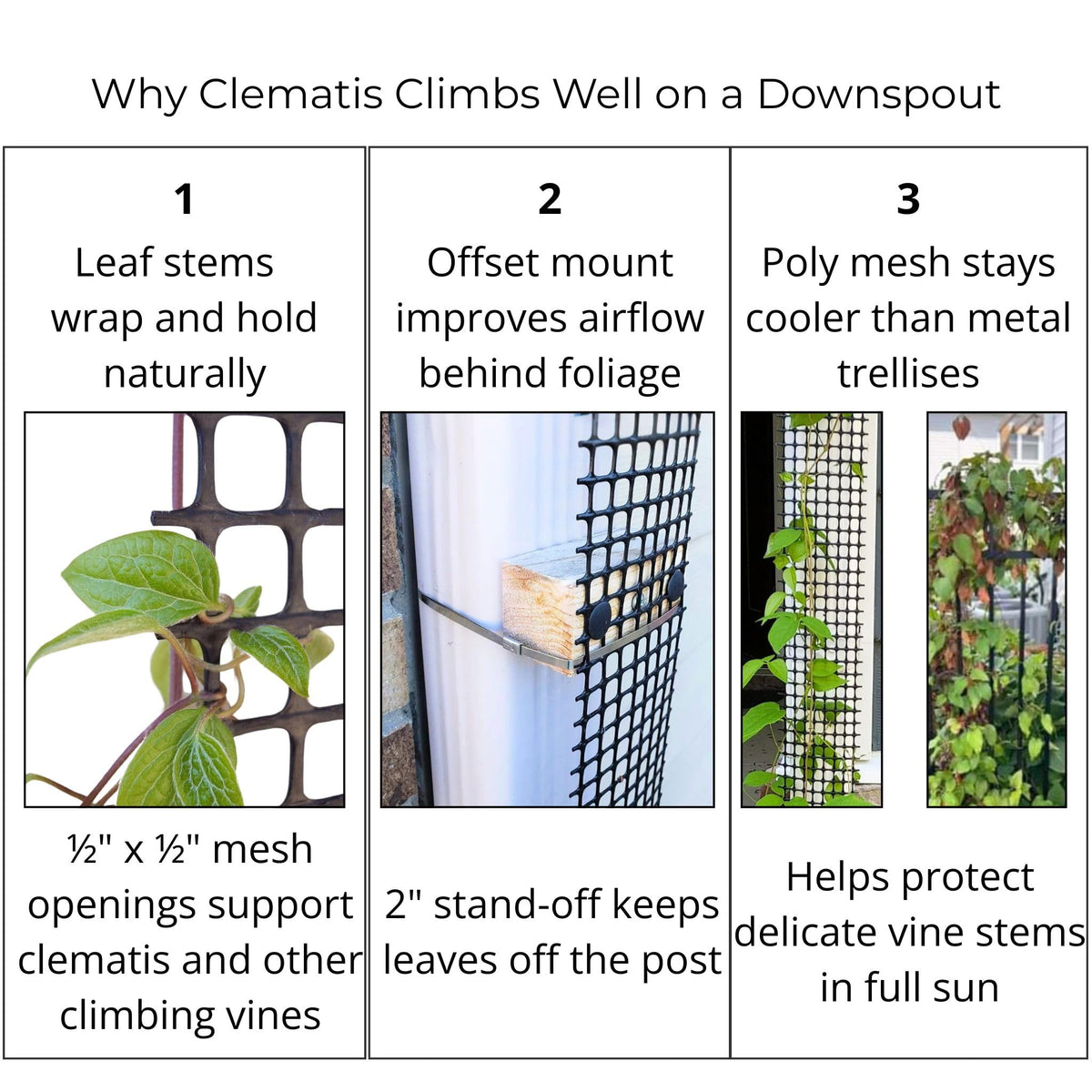Scroll Trellis continuous nine-foot surface for vertical planting.