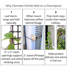 Scroll Trellis continuous nine-foot surface for vertical planting.