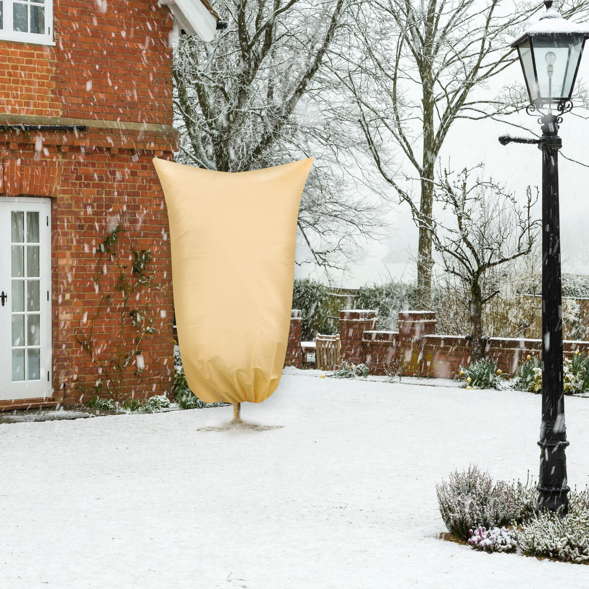 SCRUBIT frost blanket on fig and lemon trees enables warmth with light access.