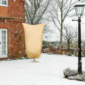 SCRUBIT frost blanket on fig and lemon trees enables warmth with light access.