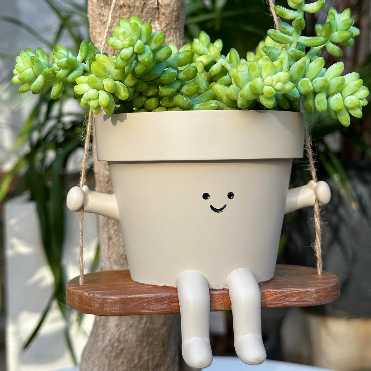 Scuyari hanging planter swing face pot adds whimsical charm to any room or garden.