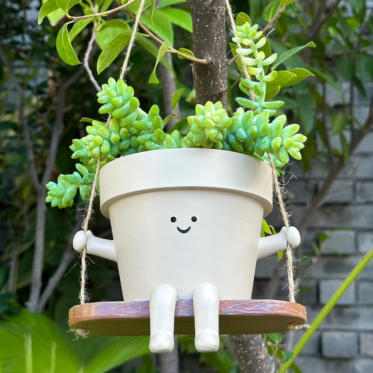 Scuyari resin planter supports various plants, from succulents to string of pearls.