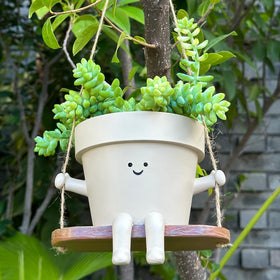 Scuyari resin planter supports various plants, from succulents to string of pearls.