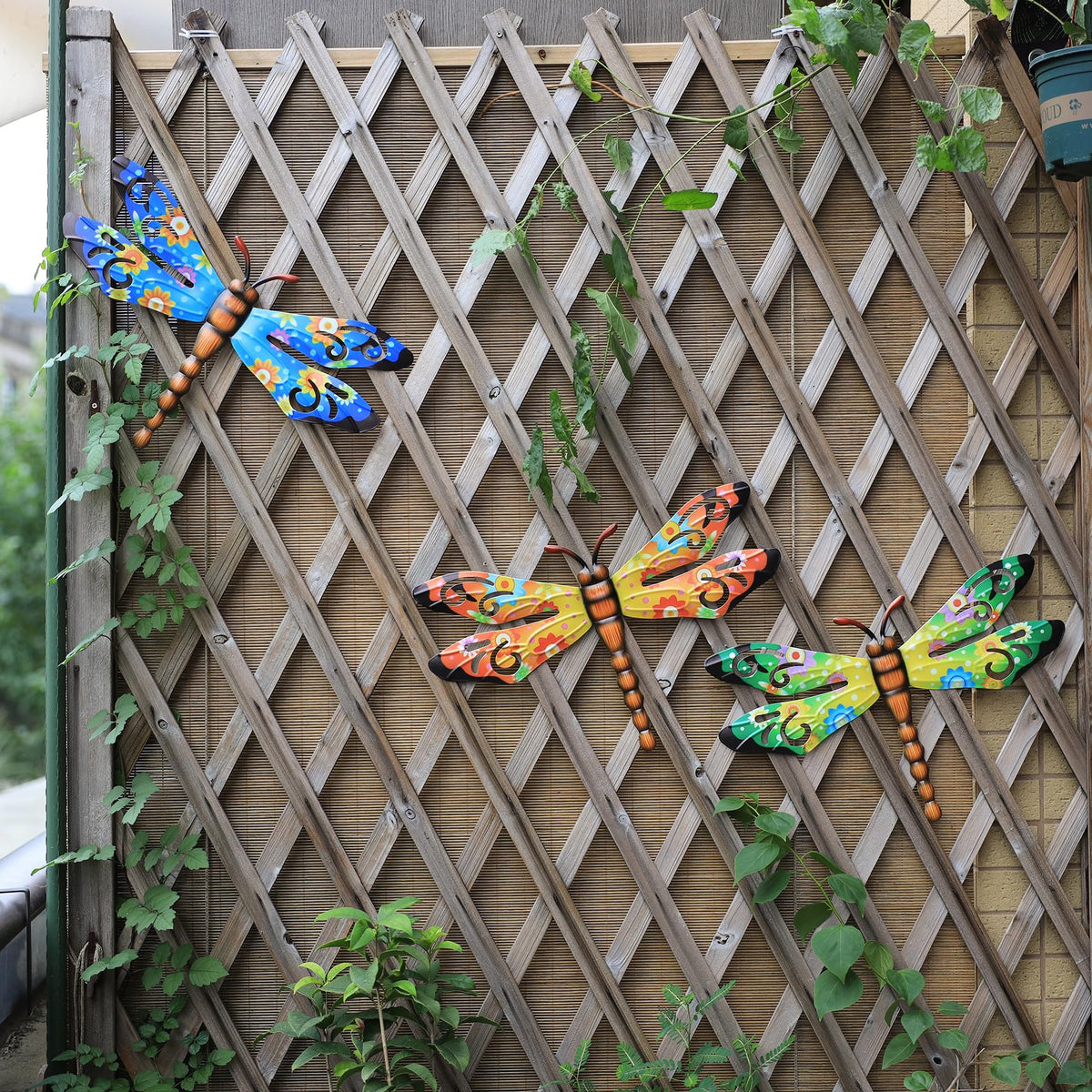 Scwhousi dragonfly wall art enhances living spaces with whimsical color.