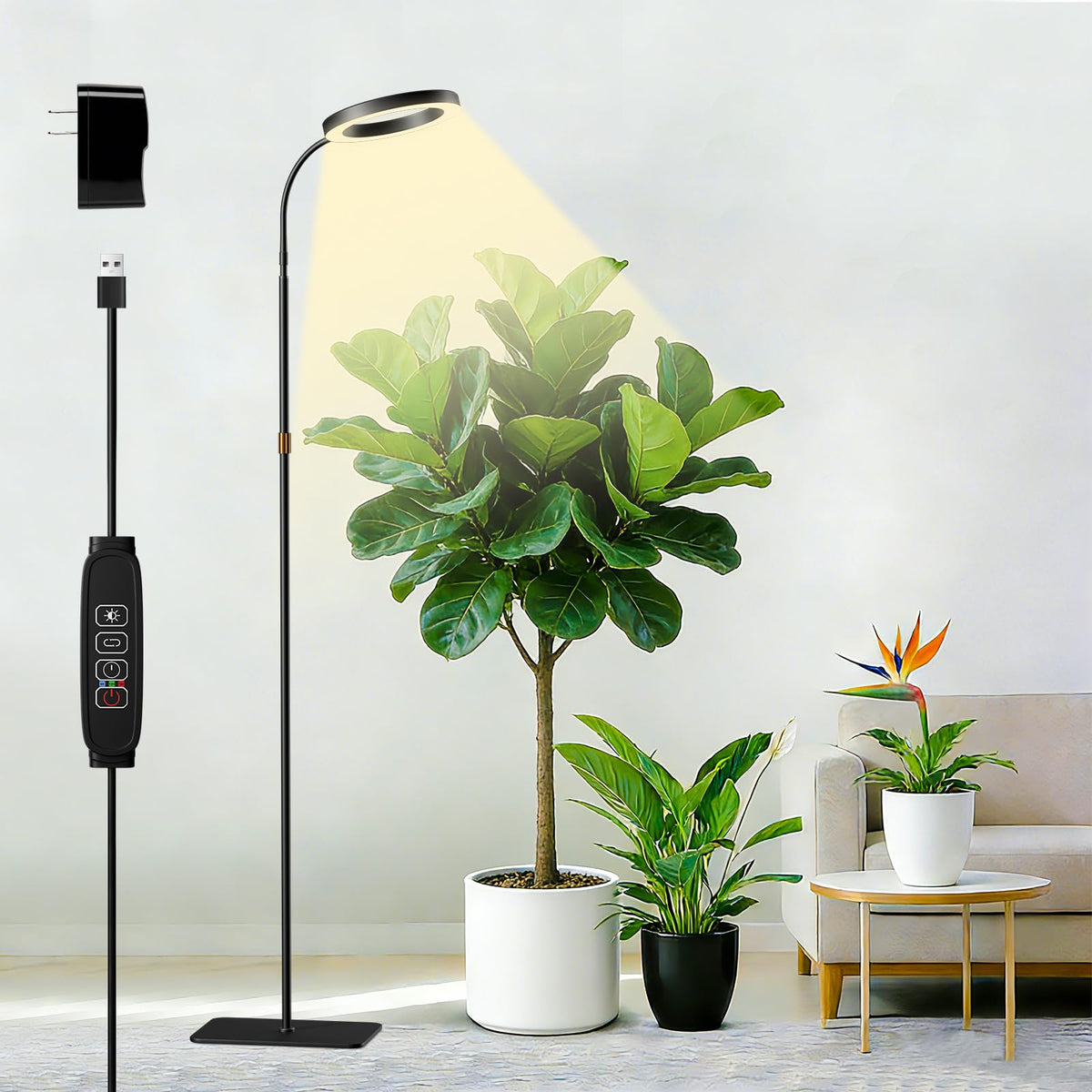 SDOVUERC full-spectrum grow light with ring design enhances indoor plant display.