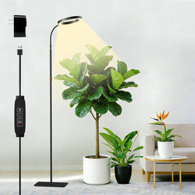 SDOVUERC full-spectrum grow light with ring design enhances indoor plant display.