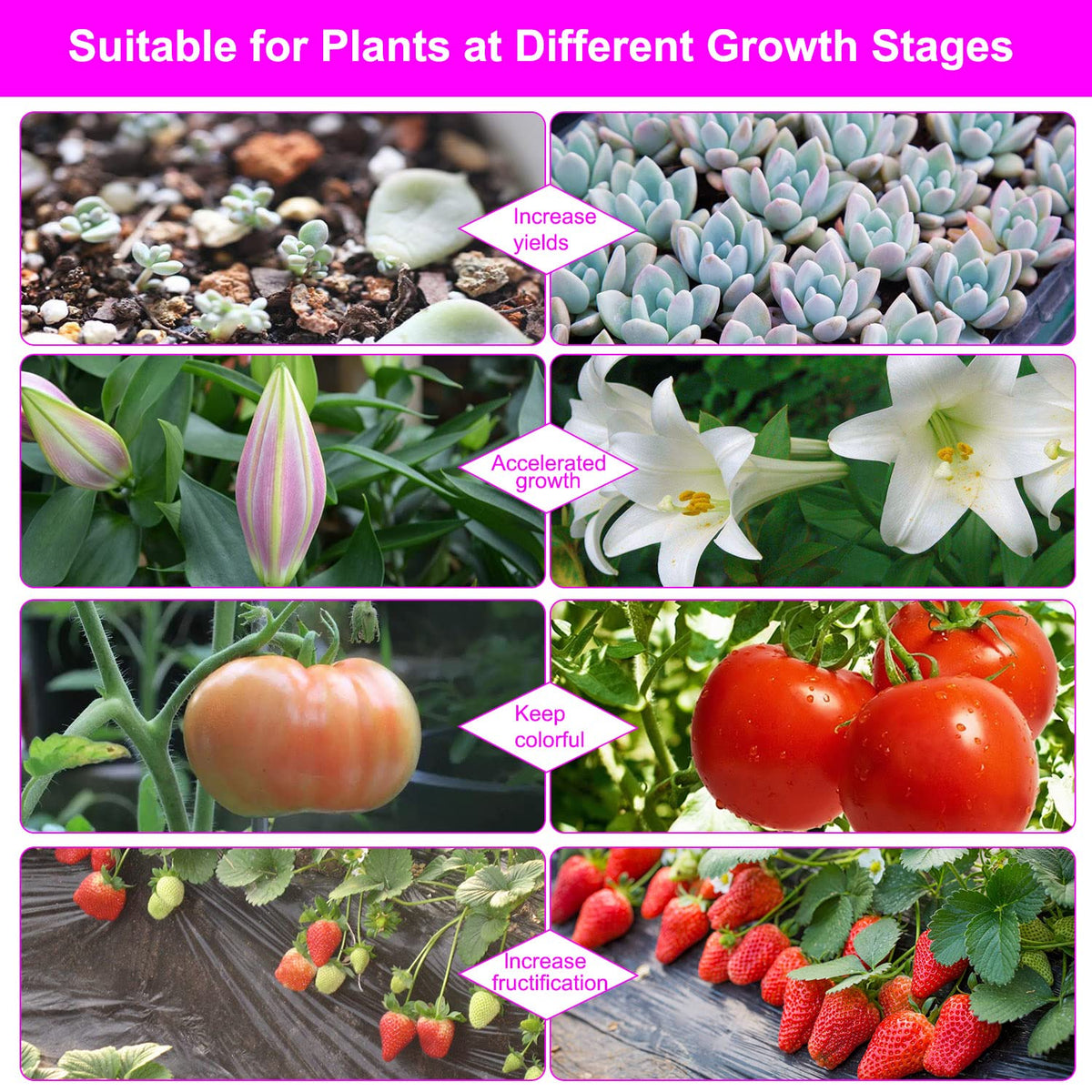 SDOVUERC 2-pack grow lights ready for two plants