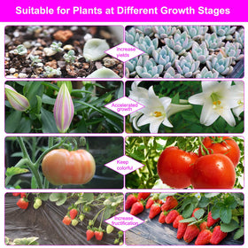 SDOVUERC 2-pack grow lights ready for two plants