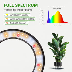 SDOVUERC adjustable-height stand accommodates various plant heights.