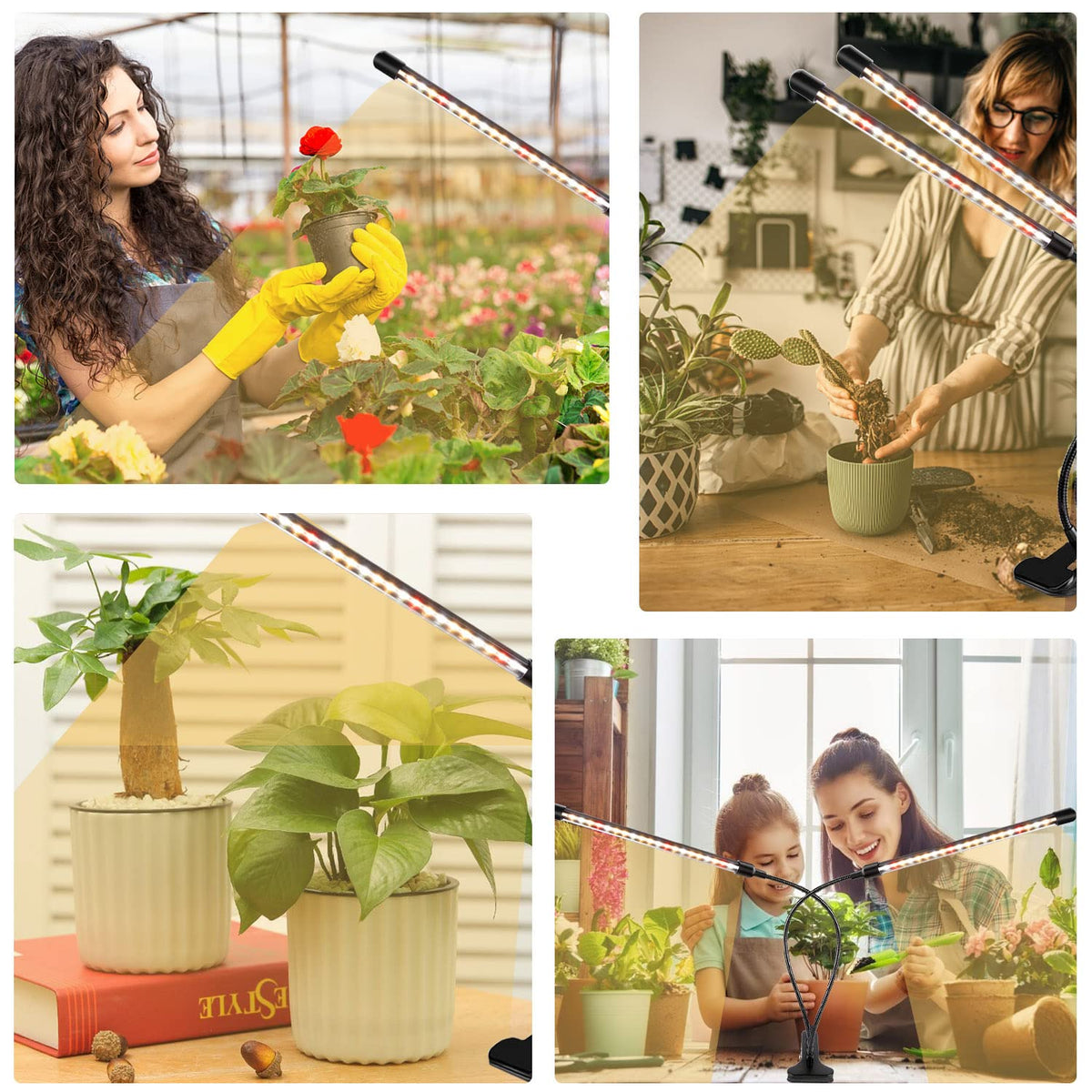 SDOVUERC two-pack kit supports multiple plants with consistent light.