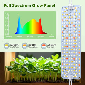 SDOVUERC upgraded 6 timer memory keeps grow schedules reliable.