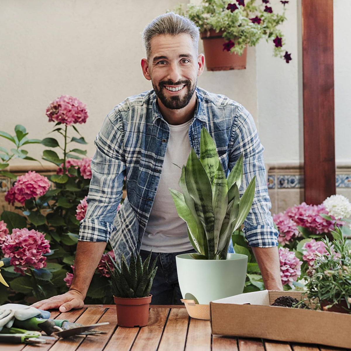 SE SUN-E gift-ready planter set suitable for home or office gifts