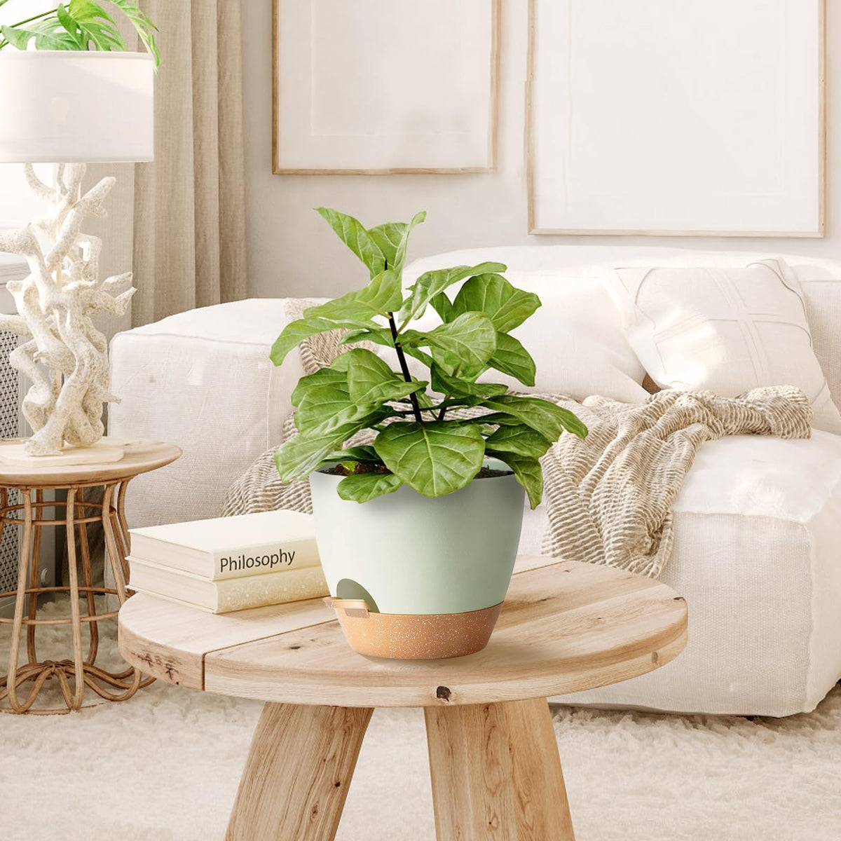 SE SUN-E five sizes arranged on shelf for versatile indoor decor