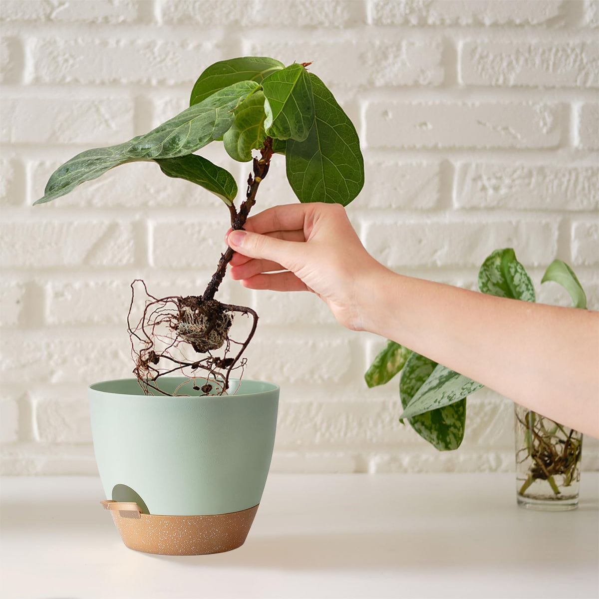 SE SUN-E planters with saucers included for neat tabletop protection