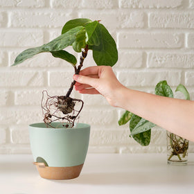 SE SUN-E planters with saucers included for neat tabletop protection