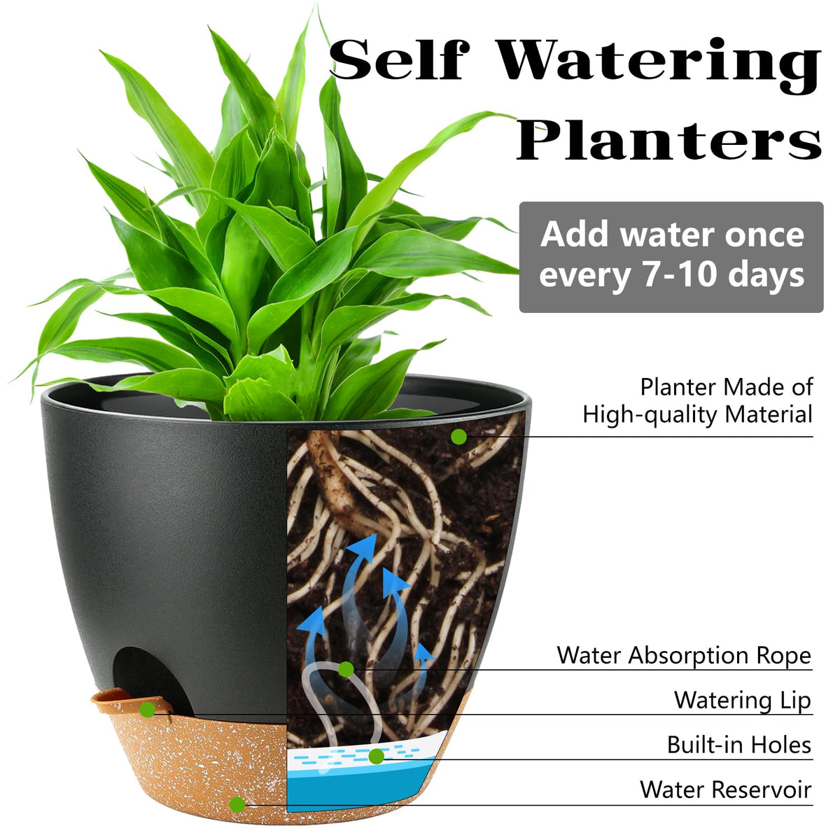 SE SUN-E pot shows drainage system for healthy roots and easy watering.